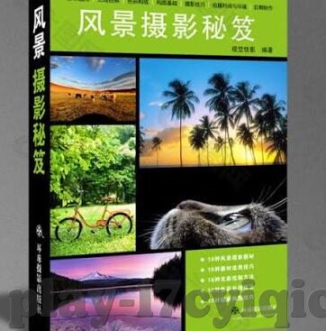 杭州大象传媒-杭州大象传媒,文化传播的桥梁与创意的摇篮